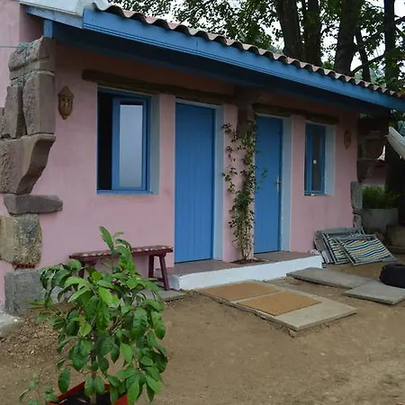 La Coquille Napoleon *